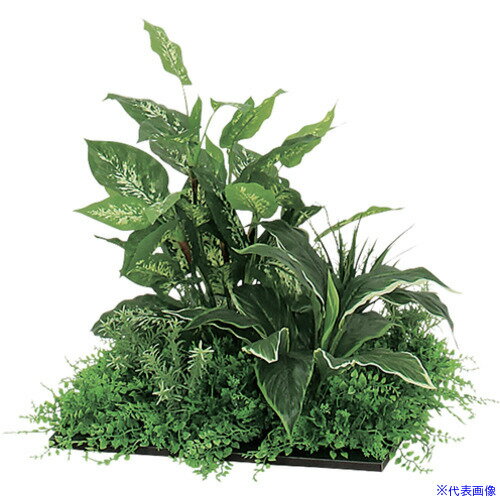 ■NAIKI スクエアグリーン(450角) LOT型 ロトス LOTOS NGR50540404(6597403)[送料別途お見積り][法人限定][掲外取寄]