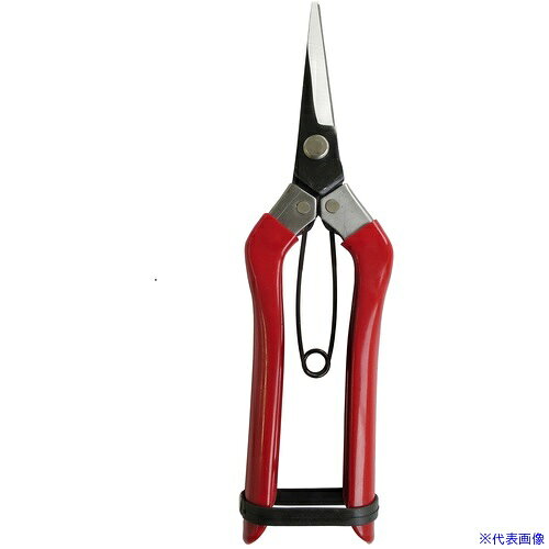 オレンジブック トラスコ中山　TRUSCO大進 EG芽切鋏 〔品番:501122〕[ 注番:6632143]特長●芽切、小枝切、摘果作業などに最適です。用途●小枝切、芽切に。仕様●全長(mm)：195仕様2●全長195mm×幅53mm×高さ21mm材質/仕上セット内容/付属品注意●本来の用途以外に使用しないでください。原産国（名称）中国JANコード4939736501122本体質量115gオレンジブック トラスコ中山　TRUSCO大進 EG芽切鋏 〔品番:501122〕[注番:6632143][本体質量：115g]《包装時基本サイズ：85×255×23》〔包装時質量：130g〕分類》園芸用品》緑化用品》剪定ハサミ☆納期情報：メーカー取り寄品（弊社より発送）