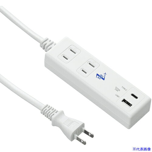 ��YAZAWA ���ⳤ�����ѽ��Ŵ� 2AC2USB3.9A1m������C�� VFC39A2AC1C(6659488)[�������Ӥ����Ѥ�][ˡ�͸���][�ǳ����]