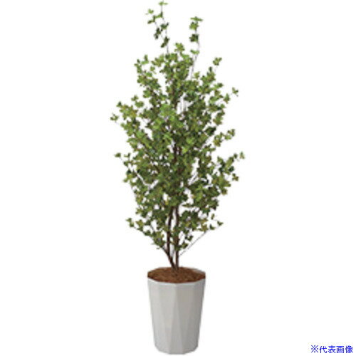 ■NAIKI 人工樹木(ドウダンツツジ) AG490(6794822)[送料別途お見積り][法人限定][掲外取寄]