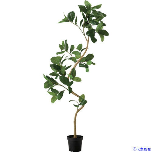 ■NAIKI 人工樹木(ツイストアルテシマ AGN111(6794831)[送料別途お見積り][法人限定][掲外取寄]