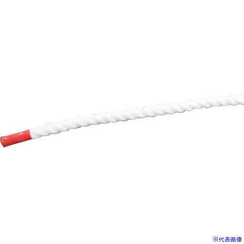 ■グリーンクロス クレモナSロープ 少し軟打 6mm×300m 6300059448(6813546)[送料別途お見積り][法人限定..