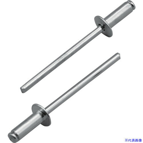 ■ロブテックス ブラインドリベット(アルミ/スティール製)5−5(1000本入) 箱入 NSA55A(6831048)