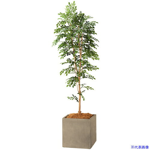 ■NAIKI 人工樹木(トネリコ) AG631SPMGL(6907439)[送料別途お見積り][法人限定][掲外取寄]