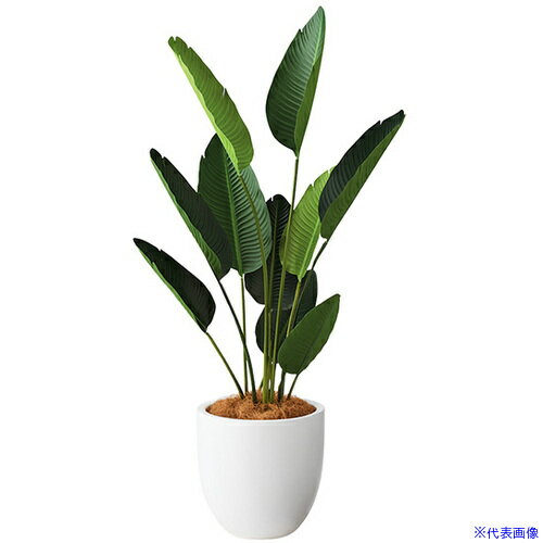 ■NAIKI 人工樹木(オーガスタ) AG601RPWH(6908933)[送料別途お見積り][法人限定][掲外取寄]