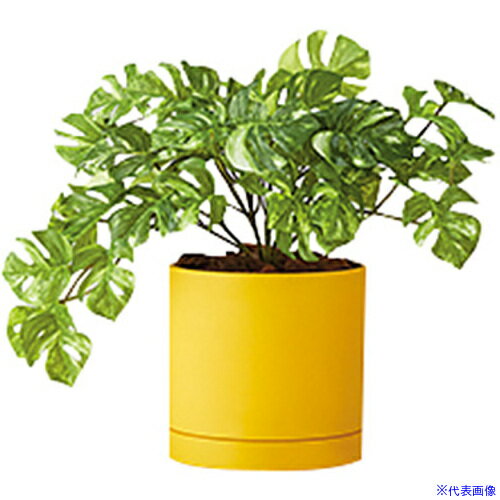 ■NAIKI 人工樹木(モンステラブッシュ AGF110TRPY(6908937)[送料別途お見積り][法人限定][掲外取寄]