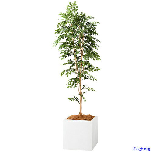 ■NAIKI 人工樹木(トネリコ) AG631SPWH(6908943)[送料別途お見積り][法人限定][掲外取寄]