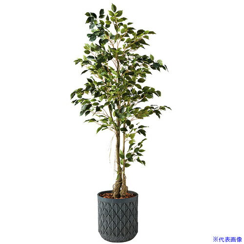■NAIKI 人工樹木(ファイカスツリー) AGF131RPBL(6908949)[送料別途お見積り][法人限定][掲外取寄]