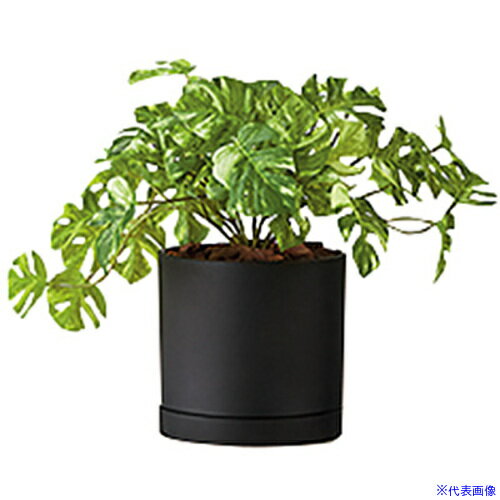 ■NAIKI 人工樹木(モンステラブッシュ AGF110TRPB(6908951)[送料別途お見積り][法人限定][掲外取寄]