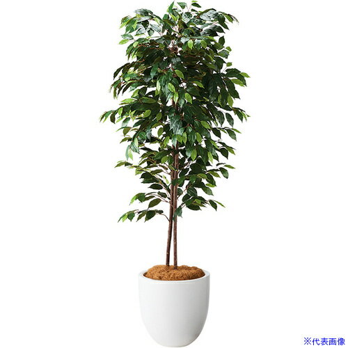 ■NAIKI 人工樹木(フィカス) AG611RPWH(6908954)[送料別途お見積り][法人限定][掲外取寄]