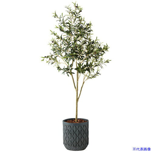 ■NAIKI 人工樹木(オリーブ) AGF141RPBL(6908959)[送料別途お見積り][法人限定][掲外取寄]