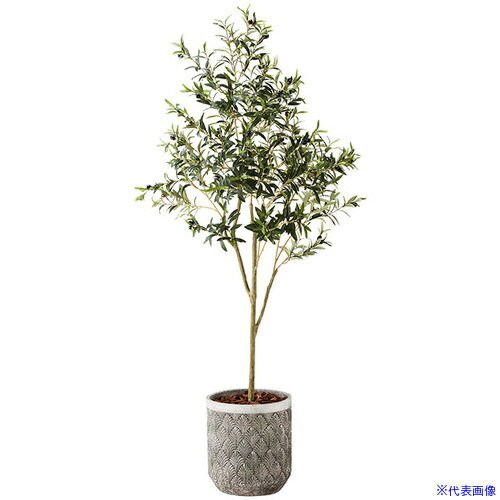 ■NAIKI 人工樹木(オリーブ) AGF141RPBG(6908989)[送料別途お見積り][法人限定][掲外取寄]