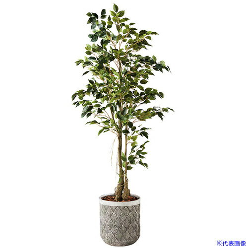 ■NAIKI 人工樹木(ファイカスツリー) AGF131RPBG(6909001)[送料別途お見積り][法人限定][掲外取寄]