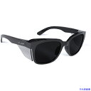 ■bolle STKS410 BLACKGLOSS FRAME SMOKE LENS STK41N20A(6991831)