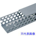 ■PANDUIT Dタイプ配線ダクト(PVC製鉛フリー)ライトグレー10.2×104.1×1830 6FT(フィート) 1本 D4X4LG6(7312041)×...