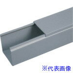 PANDUIT FS(PVCե꡼)饤ȥ졼82.628.41830 6FT(ե) 1 FS3X1LG...