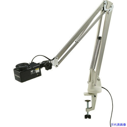 ĥ LEDꡦ¡̸롼 ܥ롼−F BOREF(7545991)[ˡ͸][ľ]