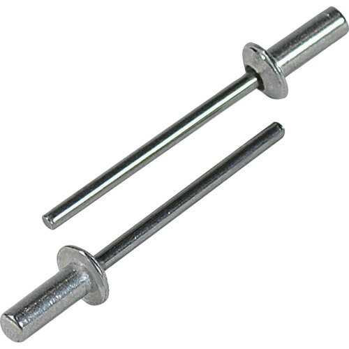 ■ロブテックス ブラインドリベット・シールドタイプ エコBOX アルミ/スティール 6-2 (150本入) NSA62CEB(7915071)