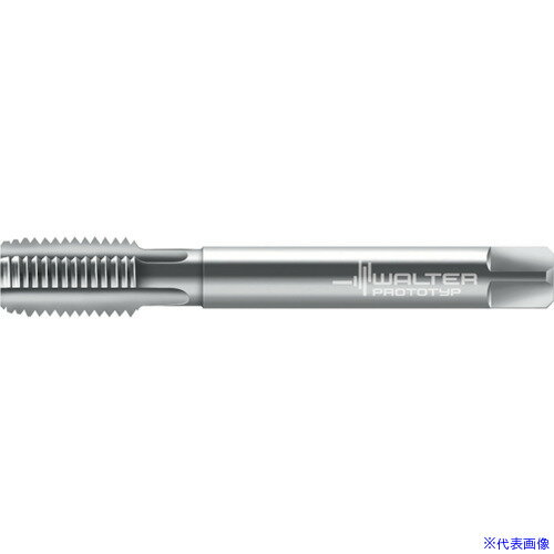 ��Prototyp �ޥ��󥿥å� 24361G12(8026347)[�������Ӥ����Ѥ�][ˡ�͸���][�ǳ����]