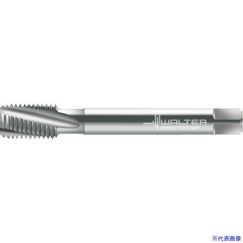 ��Prototyp �ޥ��󥿥å� 24460G18(8026359)[�������Ӥ����Ѥ�][ˡ�͸���][�ǳ����]