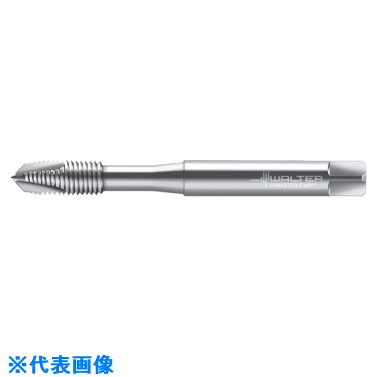 ��Prototyp �ޥ��󥿥å� 20211M1.2(8026496)[�������Ӥ����Ѥ�][ˡ�͸���][�ǳ����]