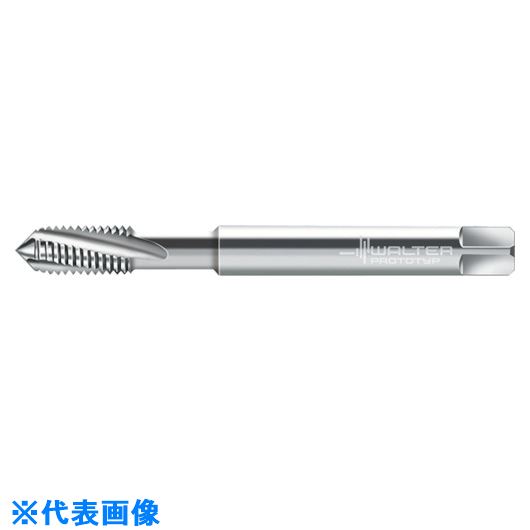 ��Prototyp �ޥ��󥿥å� 204164MJ4(8026689)[�������Ӥ����Ѥ�][ˡ�͸���][�ǳ����]