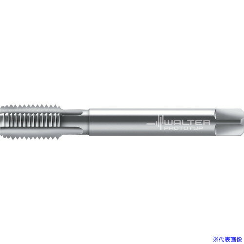 ■Prototyp マシンタップ 21361M10X0.75(8026802)[送料別途お見積り][法人限定][掲外取寄]