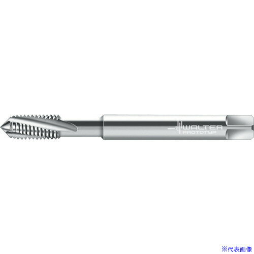 Prototyp ޥ󥿥å 224069EGUNC6(8027001)[ӤѤ][ˡ͸][ǳ]