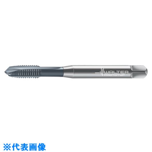 樂天商城 - ■Prototyp マシンタップ 7021365M6(8027195)[送料別途お見積り][法人限定][掲外取寄]