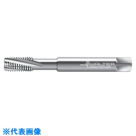 ��Prototyp �ޥ��󥿥å� 804101M8(8027352)[�������Ӥ����Ѥ�][ˡ�͸���][�ǳ����]