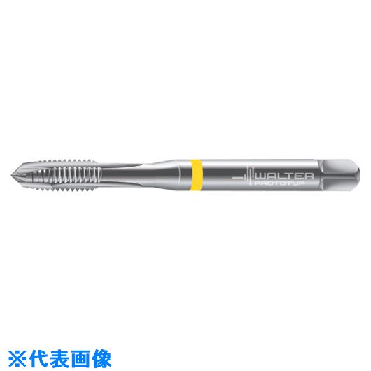 ��Prototyp �ޥ��󥿥å� N20219M5(8028715)[�������Ӥ����Ѥ�][ˡ�͸���][�ǳ����]