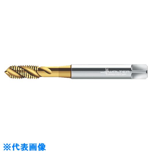 ��Prototyp �ޥ��󥿥å� P20519M4(8028946)[�������Ӥ����Ѥ�][ˡ�͸���][�ǳ����]