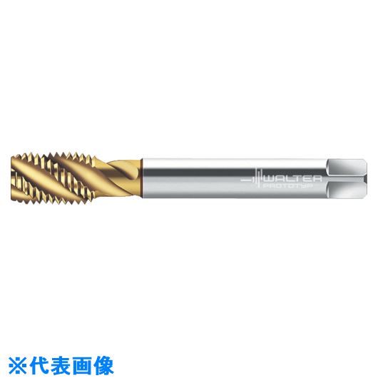 Prototyp ޥ󥿥å P21589M10X1(8029127)[ӤѤ][ˡ͸][ǳ]