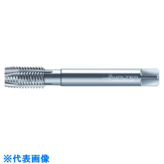 ��Prototyp �ޥ��󥿥å� P233602UNEF38(8029234)[�������Ӥ����Ѥ�][ˡ�͸���][�ǳ����]