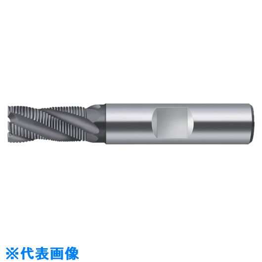 オレンジブック トラスコ中山　TRUSCOPrototyp エンドミル 〔品番:H418037810〕[ 注番:8030623]特長●超硬エンドミルです。用途●被削材：鋼、ステンレス鋼、鋳鉄、非鉄金属。●ミーリング加工。仕様●切削径DC(mm)：10●最大切込みAPMX(mm)：22●機能長さLF(mm)：72●シャンク径DCON(mm)：10●シャンク径(mm)：10●刃径(mm)：10●刃長(mm)：22●全長(mm)：72●TAX仕様2材質/仕上●超硬セット内容/付属品注意原産国（名称）ドイツJANコード4042446187880本体質量0.127kgオレンジブック トラスコ中山　TRUSCOPrototyp エンドミル 〔品番:H418037810〕[注番:8030623][本体質量：0.127kg]《包装時基本サイズ：102×18×18》分類》切削工具》旋削・フライス加工工具》超硬ラフィングエンドミル☆納期情報：メーカー取り寄品（弊社より発送）