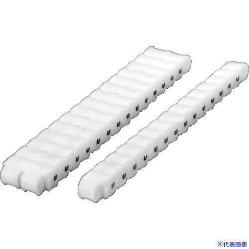 ■KANA エンプラチェーン 40EPT(8040407)[送料別途お見積り][法人限定][掲外取寄]