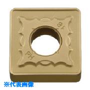 ■京セラ 旋削加工用チップ CVDコーティング CA530 SNMG150612PH(CA530)(8049995)×10[送料別途お見積り][法人限定][掲外取寄]