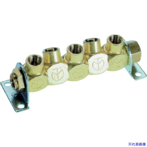 オレンジブック トラスコ中山　TRUSCOチヨダ フリージョイント2 5WAY Rc3/8 〔品番:5MF33〕[ 注番:8083630]特長●一箇所の配管口より複数の配管口が取り出せます。●取り出し口は方向を自由に変える事が出来、固定も出来ます。用途●各種エア配管に。●回路分岐に。仕様●ネジサイズRc1/2、Rc3/8仕様2●チヨダ　フリージョイント2　5WAY　R3／8材質/仕上●本体：しんちゅう●シール材：ニトリルゴム●ブラケット：鋼鉄セット内容/付属品注意原産国（名称）日本JANコード4537327010161本体質量535.2gオレンジブック トラスコ中山　TRUSCOチヨダ フリージョイント2 5WAY Rc3/8 〔品番:5MF33〕[注番:8083630][本体質量：535.2g]《包装時基本サイズ：205×230×40》〔包装時質量：537g〕分類》空圧用品》流体継手・チューブ》金属カップリング☆納期情報：メーカー取り寄品（弊社より発送）