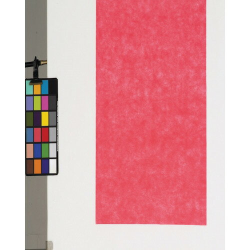 ■東京メディカル 不織布シート トマト 66角 (100枚入) FUT66(8167795)[送料別途お見積り][法人限定][外..