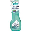 ■SOFT99 メガネのシャンプー除菌EX ミンティベリーの香り 20185(8199475)