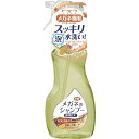 ■SOFT99 メガネのシャンプー除菌EX トロピカルスウィートの香り 20209(8199482)