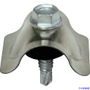 ■DAIDOHANT 波板専用ビス ステン座金 鉄下地用 5X25 (10本入) 10102400(8218497)