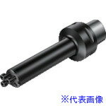 ■サンドビック コロターンSL(410) C35703C32224(8230940)[送料別途見積り][法人・事業所限定][掲外取寄]