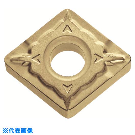 �������� ����ù��ѥ��å� PVD������å� PV720 CNMG120408WQ(PV720)(8249596)��10[�������Ӥ����Ѥ�][ˡ�͸���][�ǳ����]