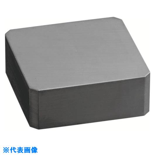  ե饤ùѥå SPKߥå WBN115 SNGN1204ZNTS88Z240(WBN115)(8249782)[ӤѤ][ˡ...