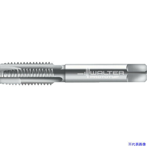 Prototyp 硼ȥޥ󥿥å 27160PG11(8259390)[ӤѤ][ˡ͸][ǳ]