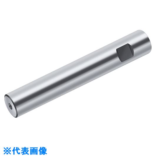 ■Walter ミーリングカッターエクステンション A175.0.20.090.05(8260518)[送料別途お見積り][法人限定][掲外取寄]