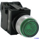 ■IDEC Φ22丸突形表示灯 APW126DG(8265515)