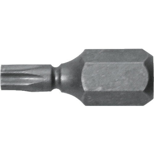 �����ͥå��� ����Ķû�إ��������֥ӥå�1���� T10��19 (����) AK51PT1019(8285385)