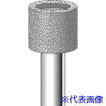 ���ʥ��˥� ����CBN�С� ������ ��12��10�߼���6 #140 13109(8292809)